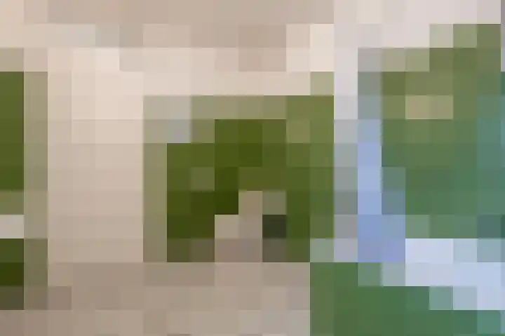 Nieuwegeer 20 Mijnsheerenland thumbnail 21