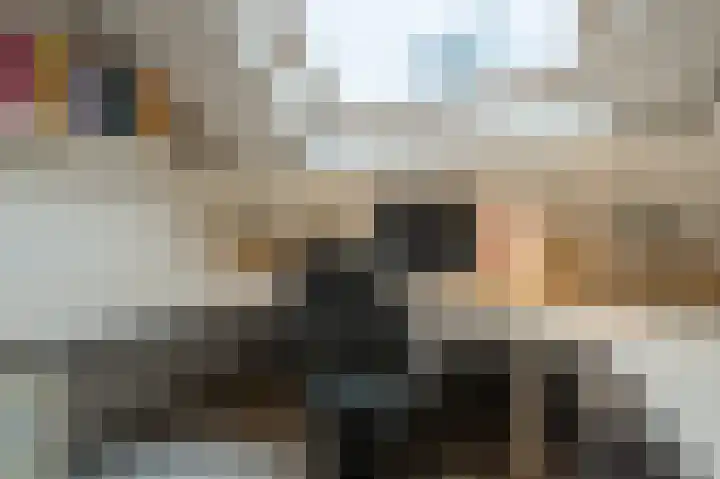 Nieuwegeer 20 Mijnsheerenland thumbnail 24