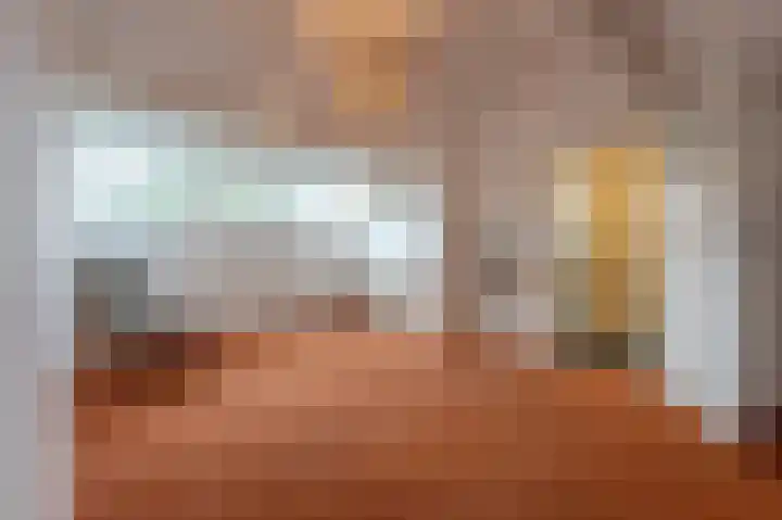 Nieuwegeer 20 Mijnsheerenland thumbnail 28