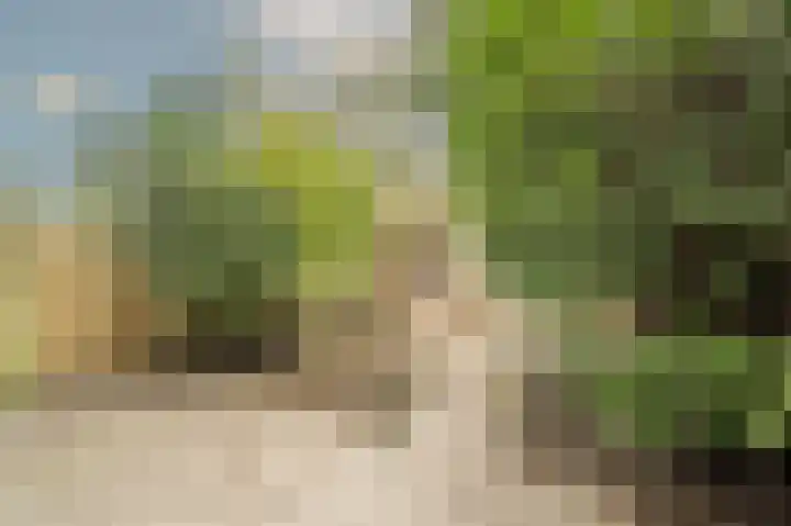 Nieuwegeer 20 Mijnsheerenland thumbnail 30