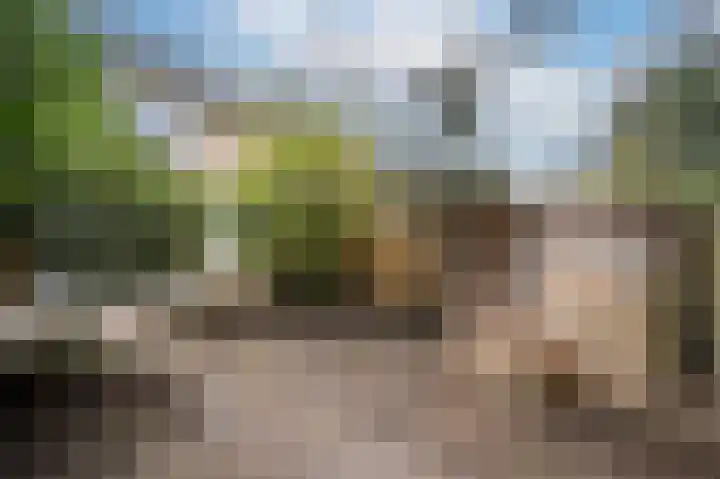 Nieuwegeer 20 Mijnsheerenland thumbnail 31