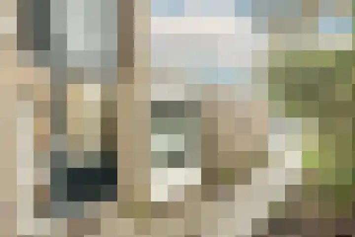 Nieuwegeer 20 Mijnsheerenland thumbnail 32