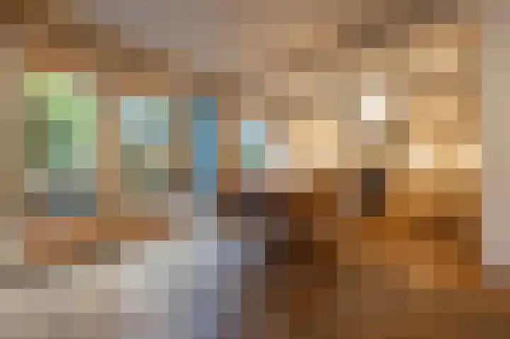 Nieuwegeer 20 Mijnsheerenland thumbnail 4