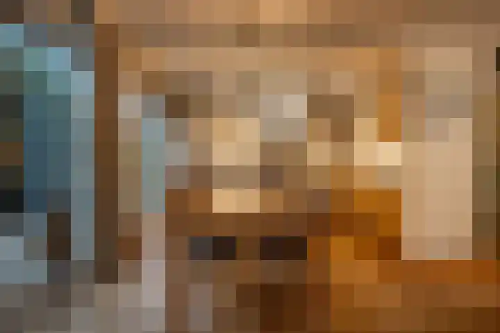 Nieuwegeer 20 Mijnsheerenland thumbnail 8