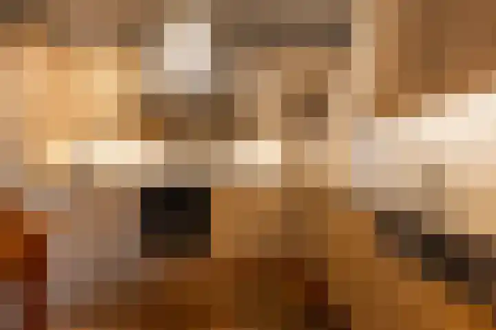 Nieuwegeer 20 Mijnsheerenland thumbnail 9