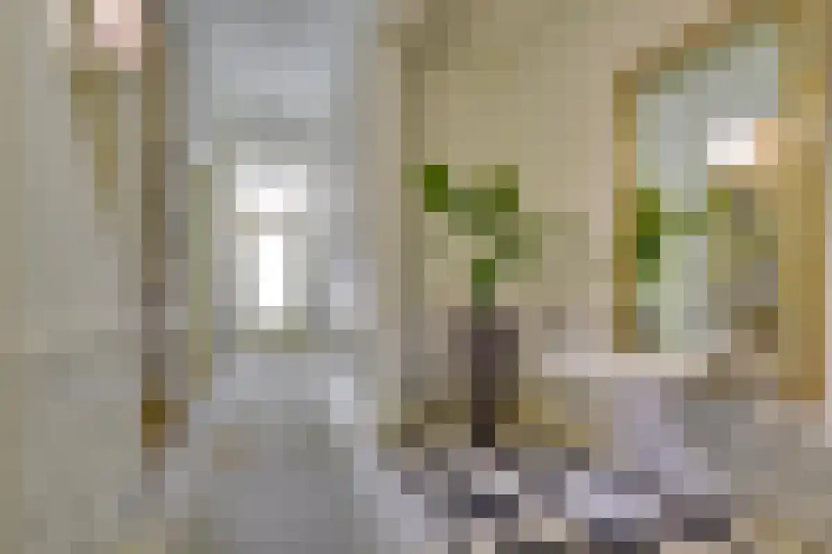 Nieuwegracht 1 Utrecht thumbnail 4