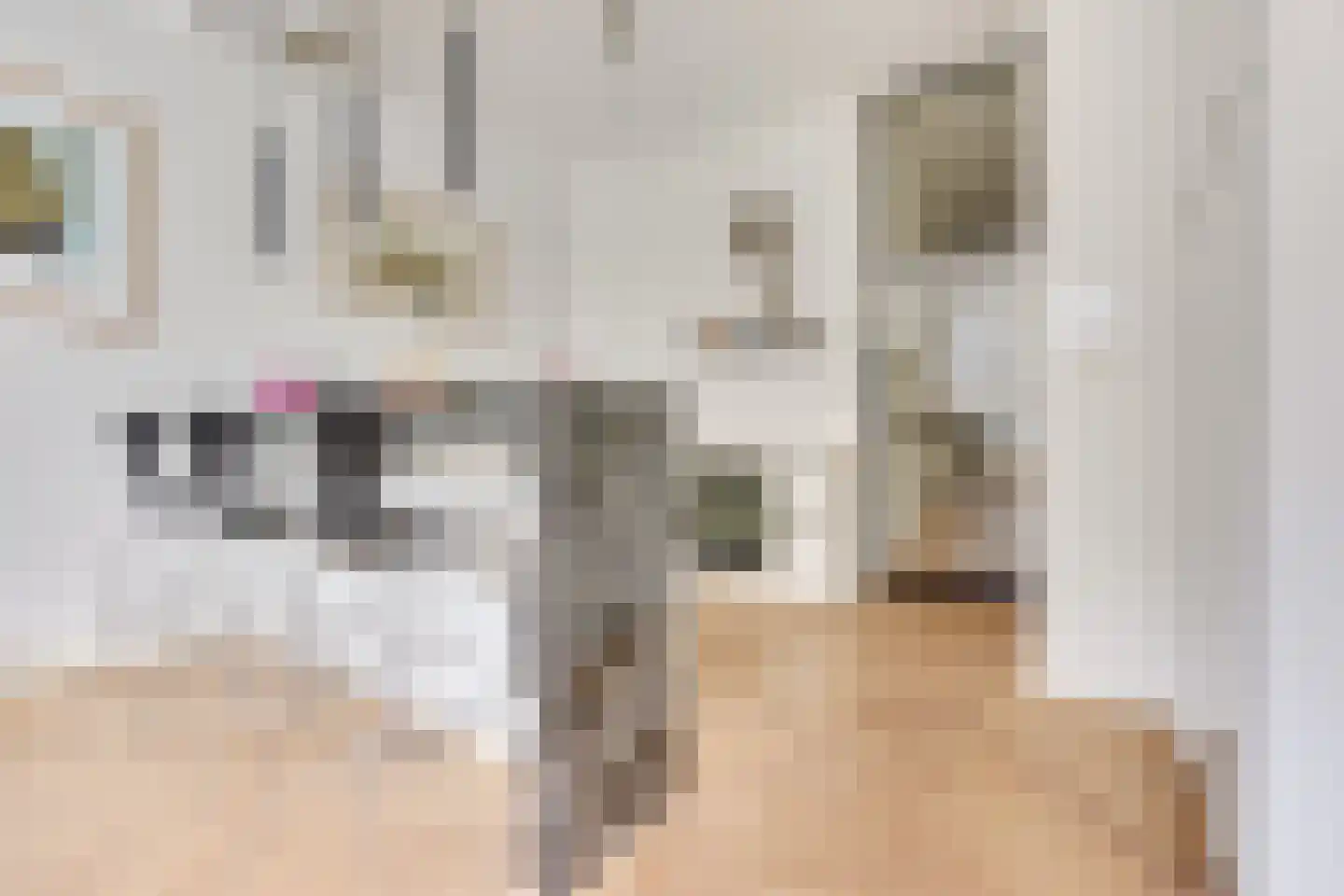 Nieuwegracht 133 G Utrecht thumbnail 11