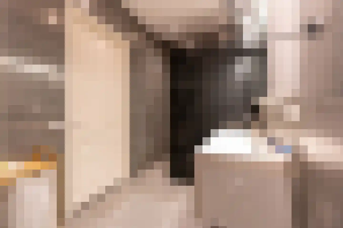 Nieuwegracht 133 G Utrecht thumbnail 42