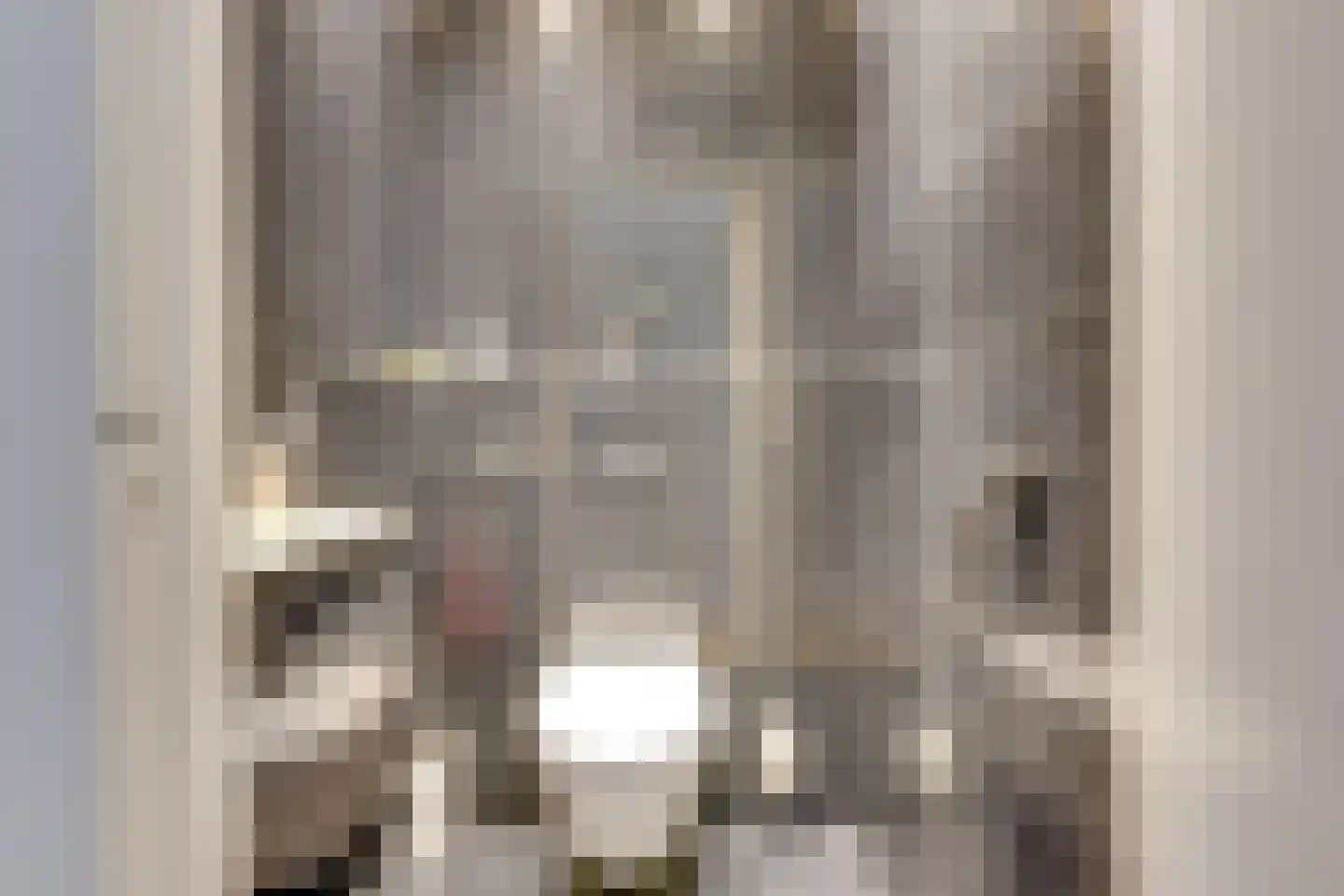 Nieuwegracht 133 G Utrecht thumbnail 44