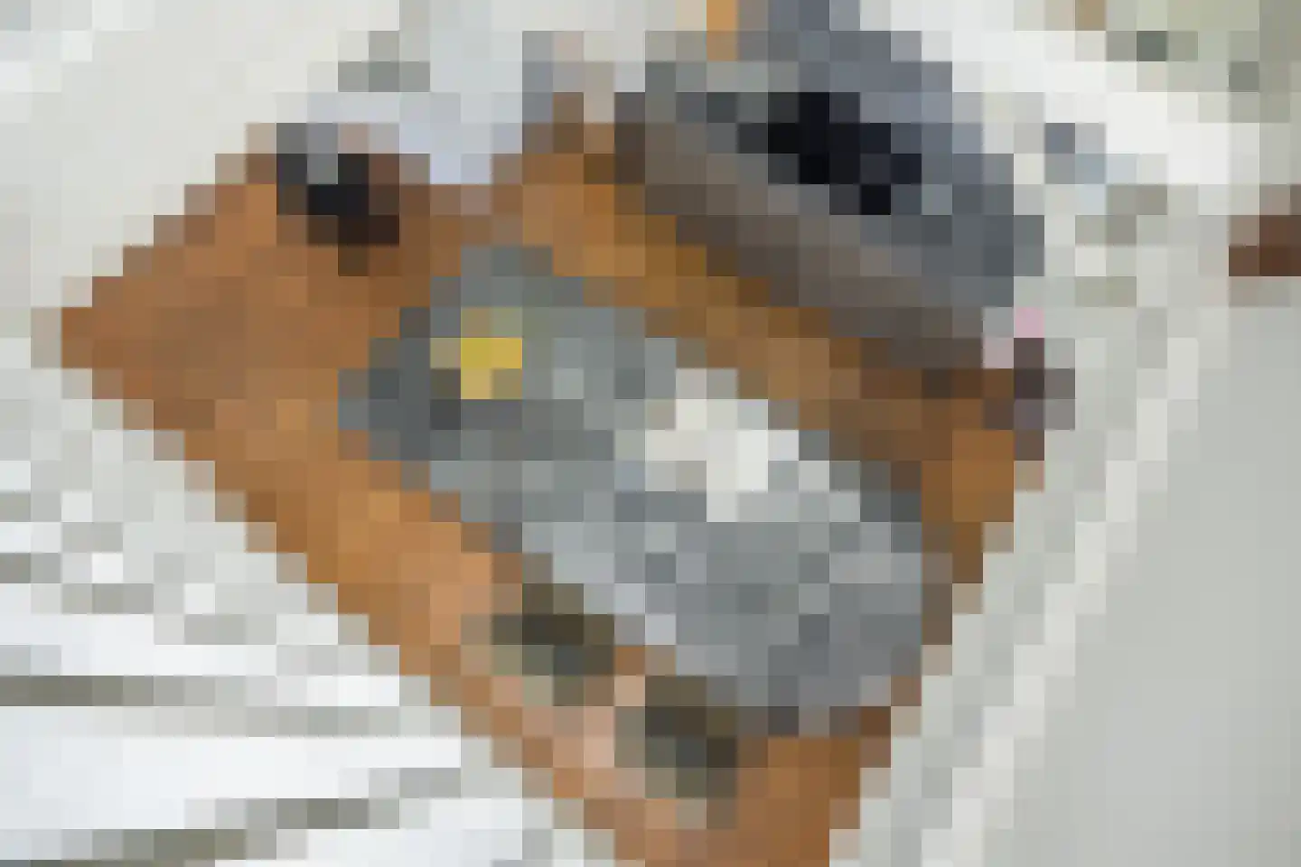 Nieuwegracht 137 C Utrecht thumbnail 33