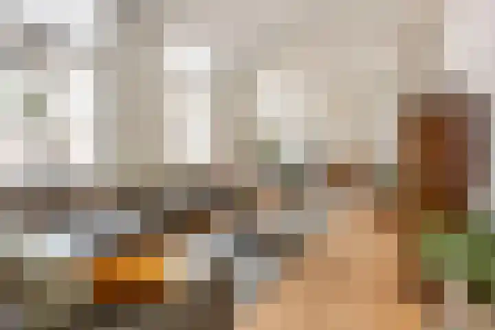 Nieuwegracht 137 G Utrecht thumbnail 12