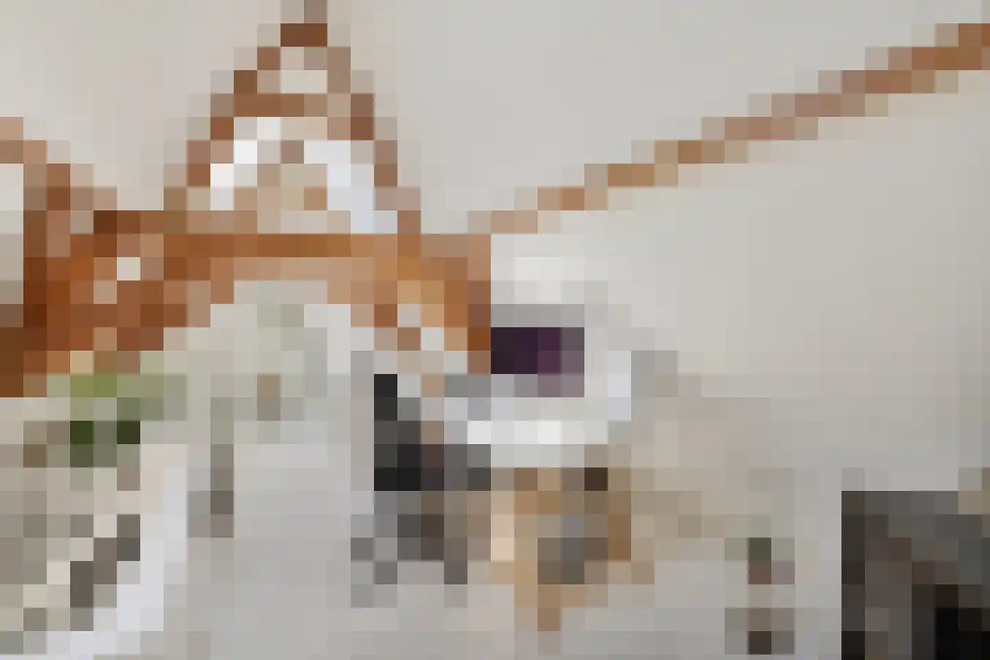 Nieuwegracht 137 G Utrecht thumbnail 34