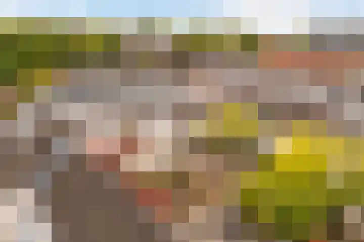 Nieuwegracht 137 G Utrecht thumbnail 50