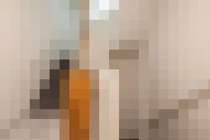 Nieuwegracht 137 G Utrecht thumbnail 8