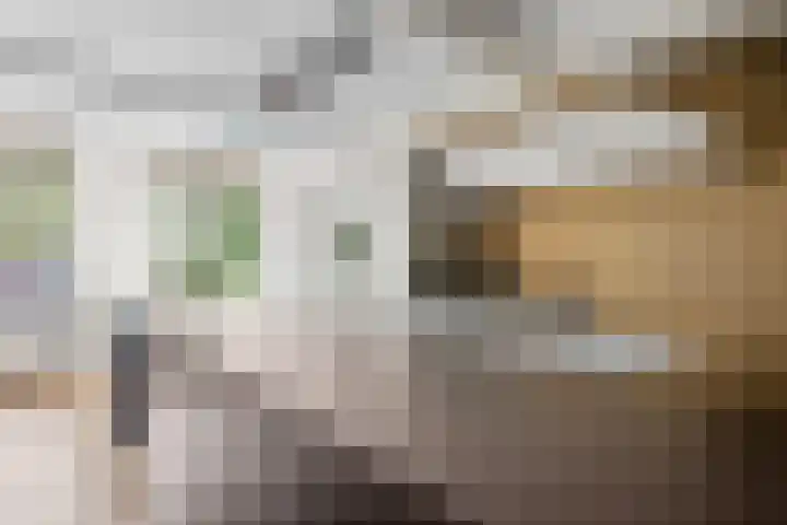 Nieuwegracht 19 D Utrecht thumbnail 15