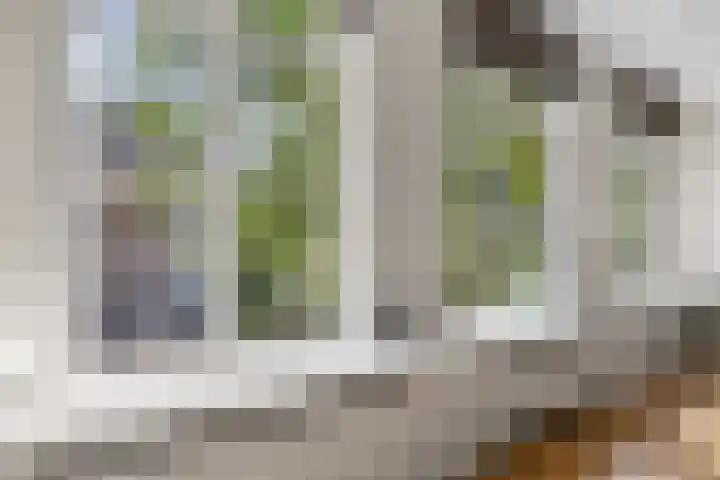 Nieuwegracht 19 D Utrecht thumbnail 28