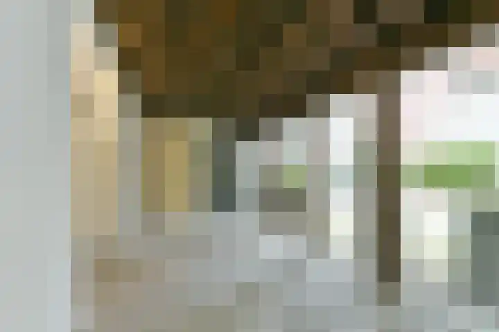 Nieuwegracht 20 N Utrecht thumbnail 24