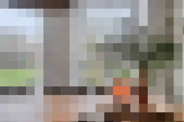 Nieuwegracht 22 Purmerend thumbnail 12