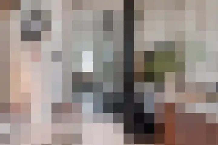 Nieuwegracht 22 Purmerend thumbnail 17