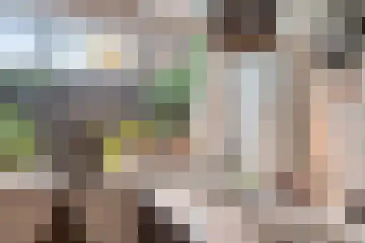 Nieuwegracht 22 Purmerend thumbnail 18