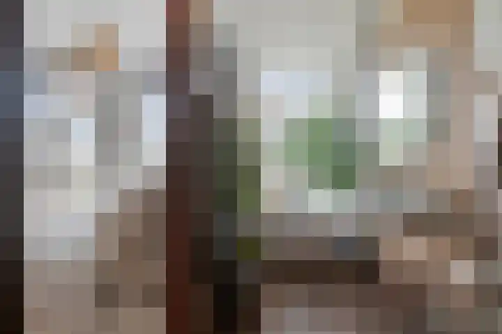 Nieuwegracht 22 Purmerend thumbnail 26
