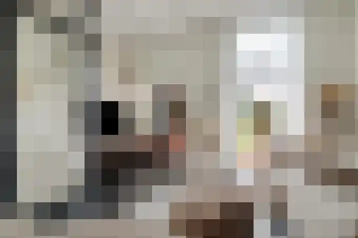 Nieuwegracht 22 Purmerend thumbnail 7