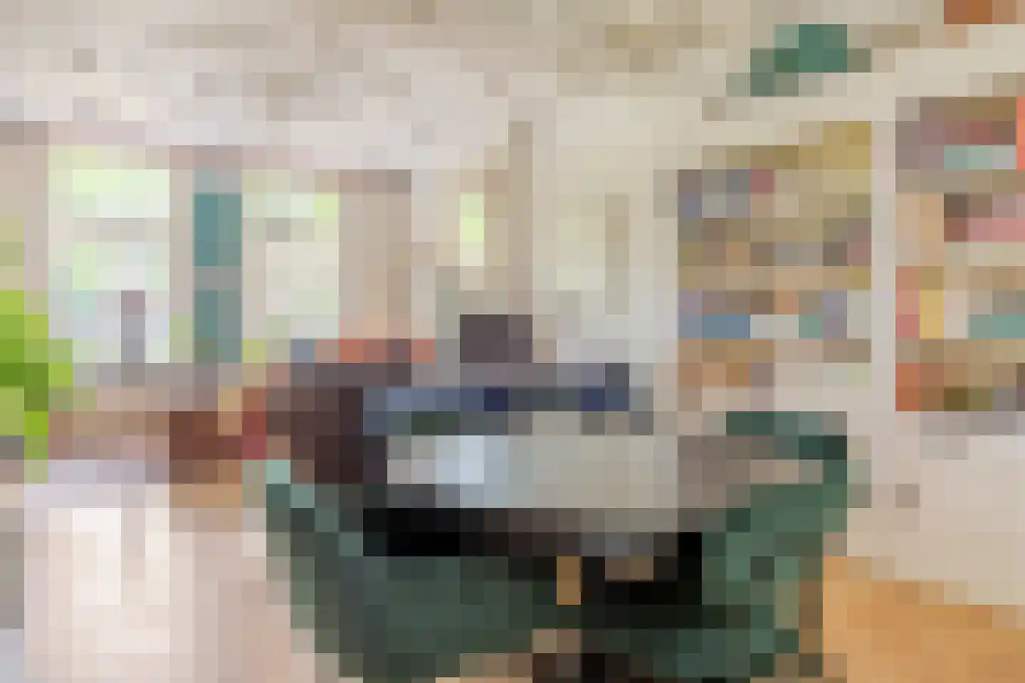 Nieuwegracht 25 Purmerend thumbnail 13