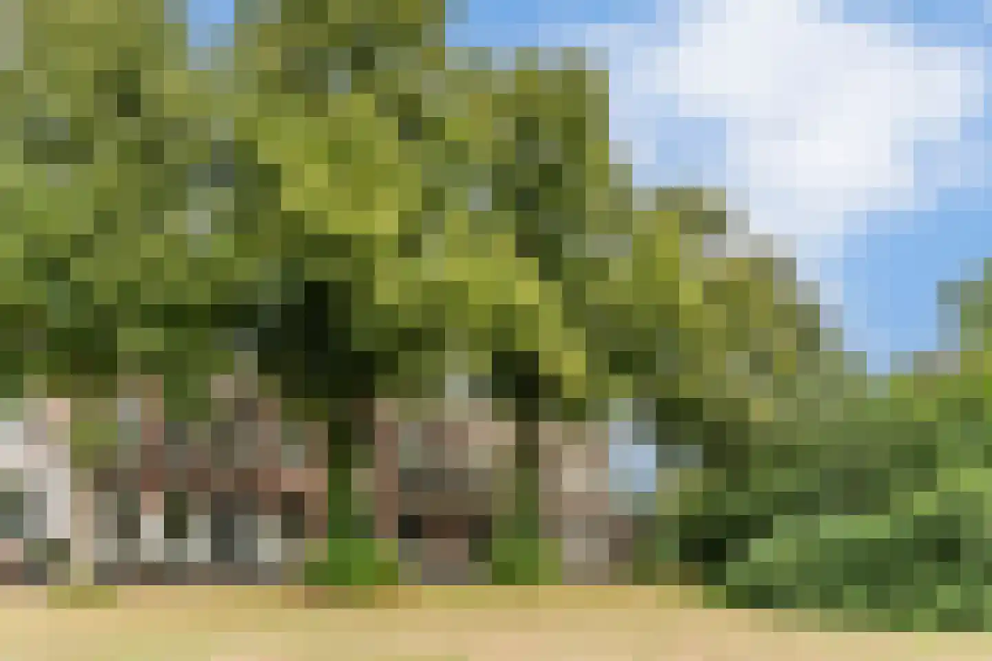 Nieuwegracht 25 Purmerend thumbnail 51