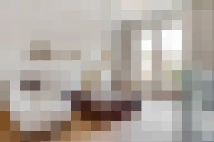 Nieuwegracht 32 B Utrecht thumbnail 11