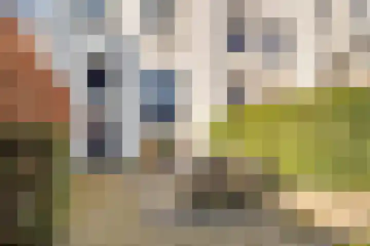 Nieuwegracht 32 B Utrecht thumbnail 36