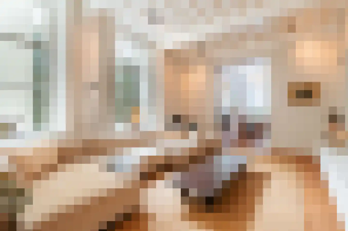 Nieuwegracht 67 Utrecht thumbnail 11