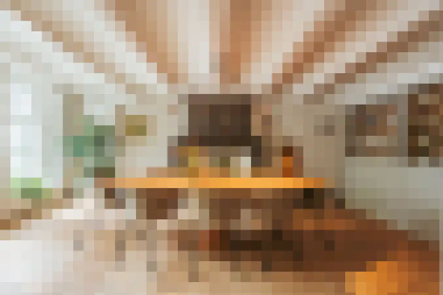 Nieuwegracht 67 Utrecht thumbnail 14