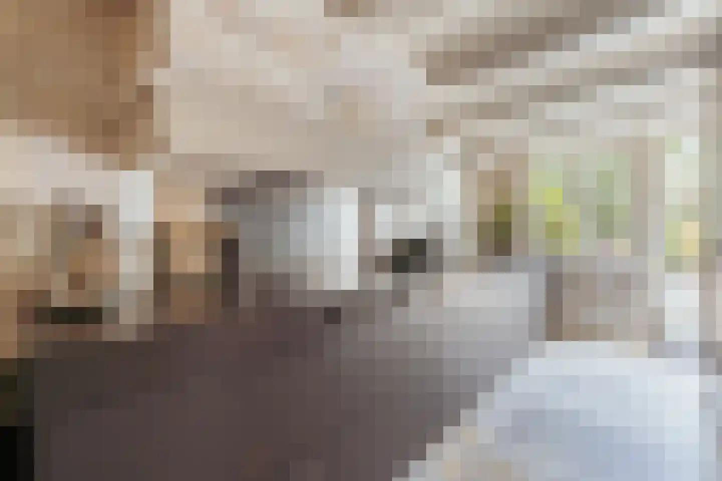 Nieuwegracht 67 Utrecht thumbnail 16