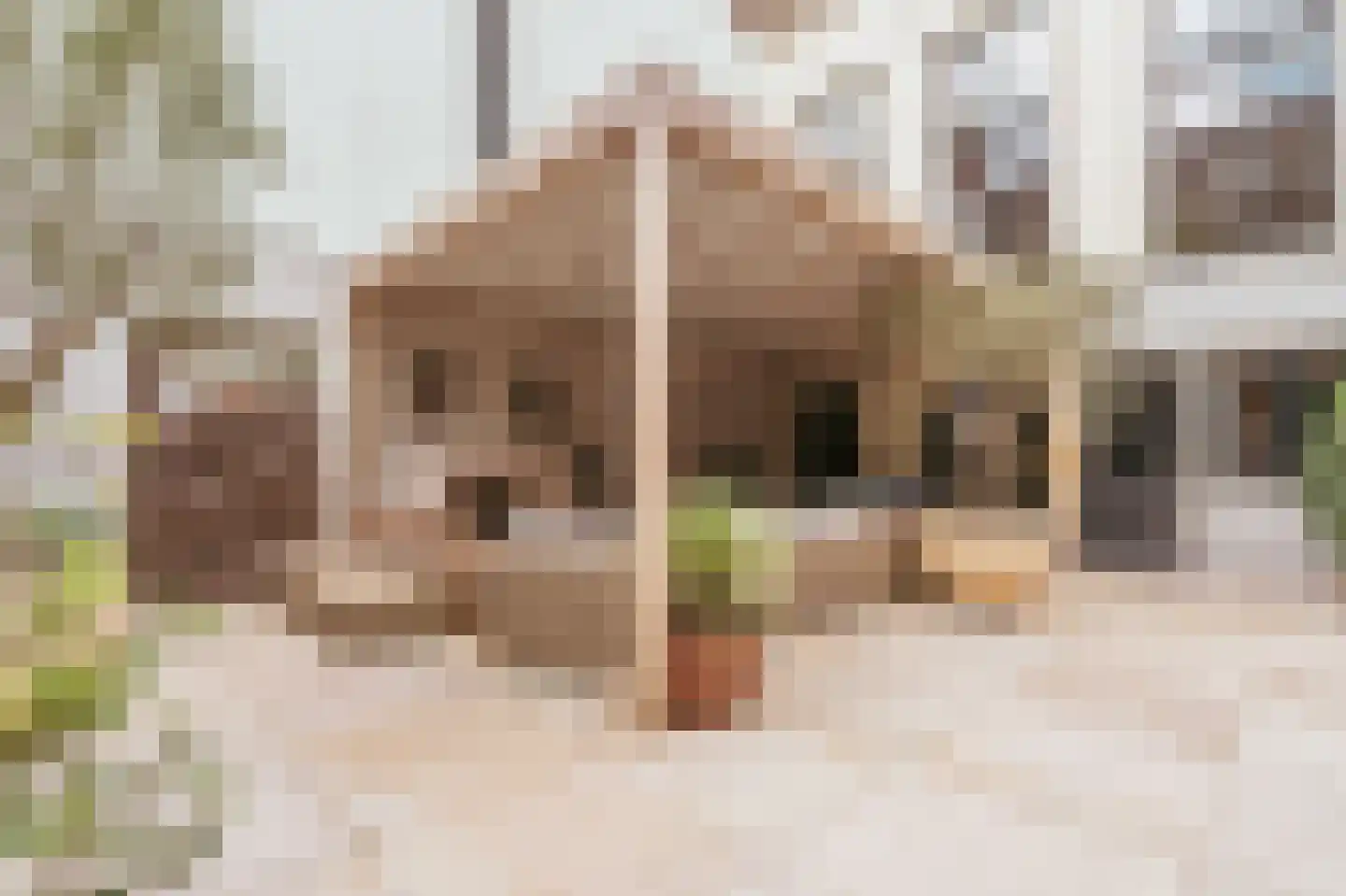 Nieuwegracht 67 Utrecht thumbnail 20