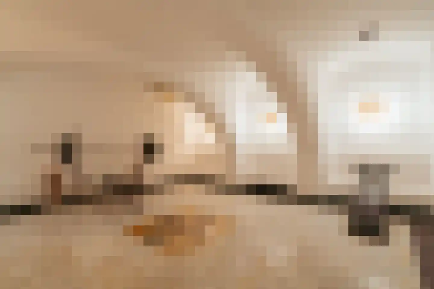Nieuwegracht 67 Utrecht thumbnail 27