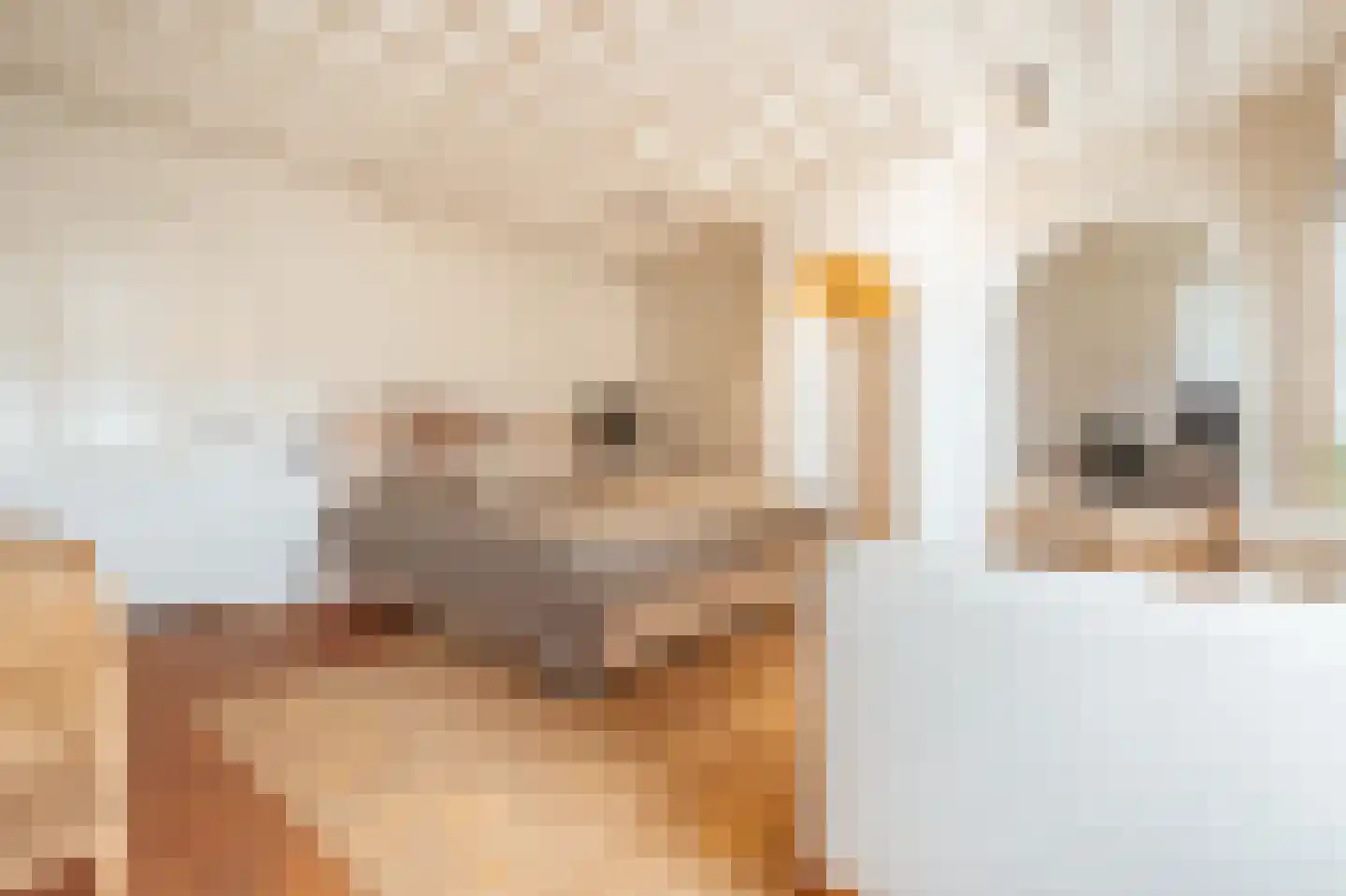 Nieuwegracht 67 Utrecht thumbnail 32