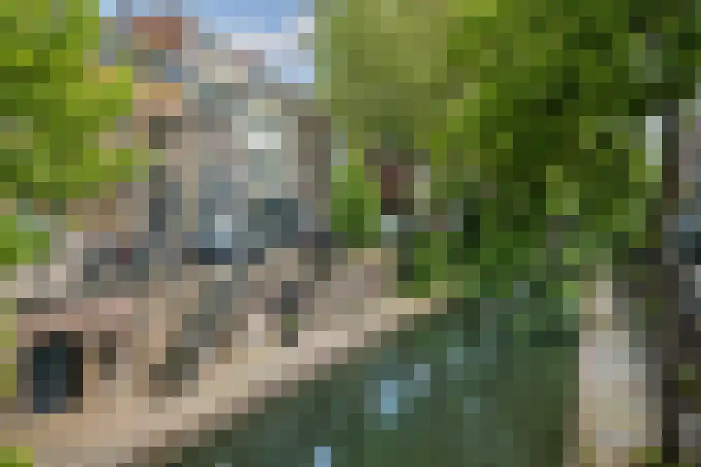 Nieuwegracht 72 Utrecht thumbnail 61