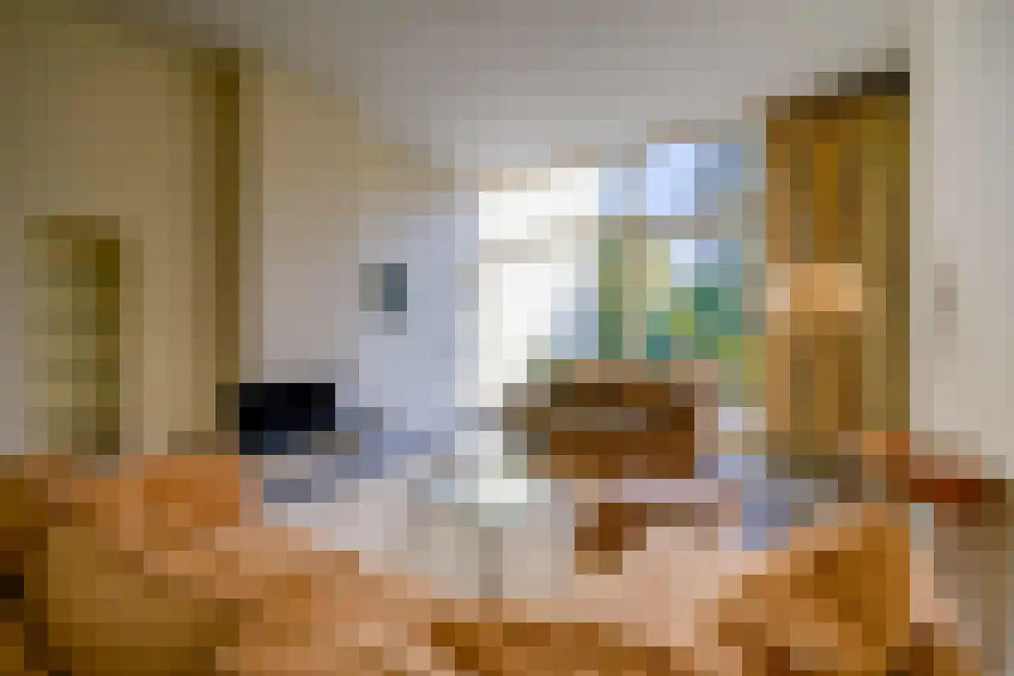 Nieuwegracht 8 Utrecht thumbnail 14