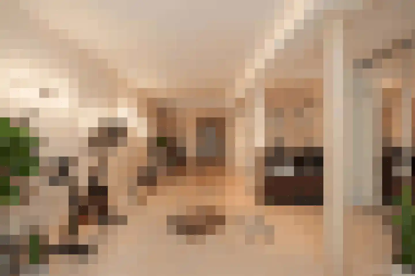 Nieuwegracht 8 Utrecht thumbnail 17