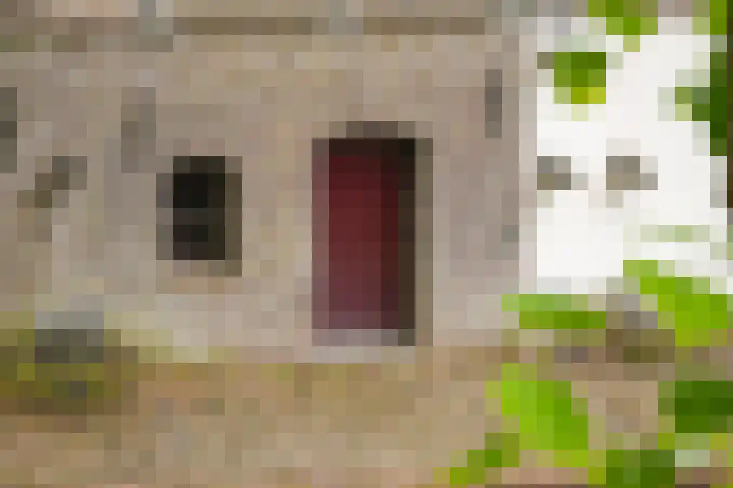 Nieuwegracht 8 Utrecht thumbnail 22