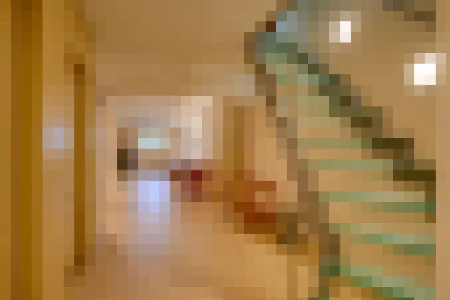Nieuwegracht 8 Utrecht thumbnail 39