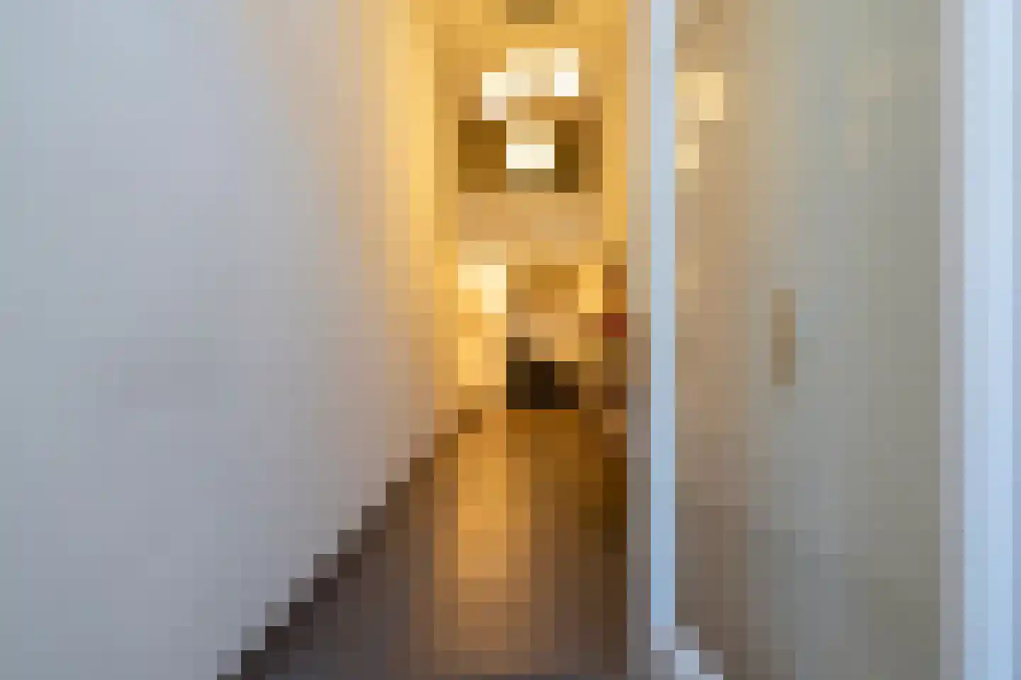 Nieuwegracht 8 Utrecht thumbnail 4