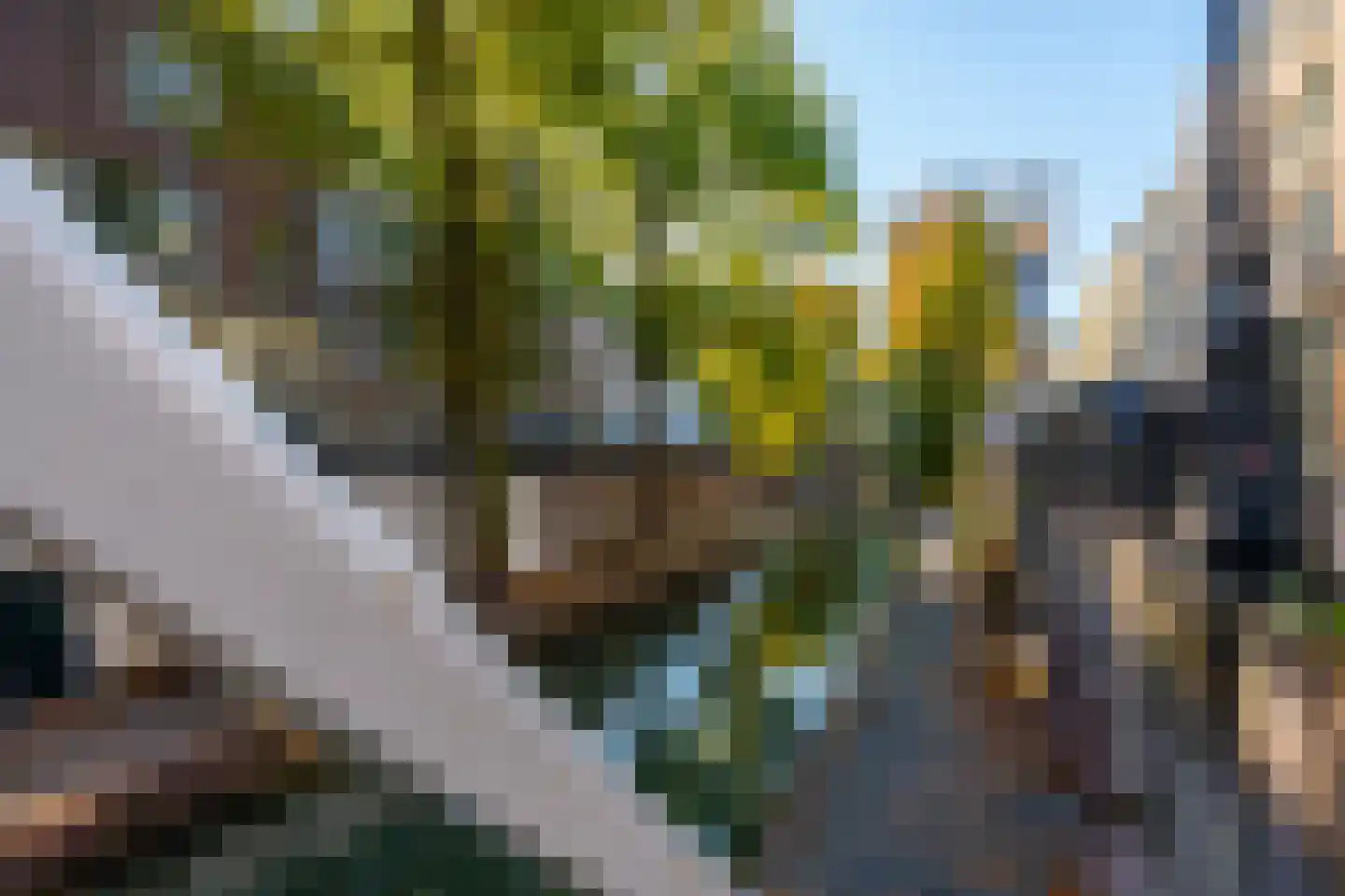 Nieuwegracht 8 Utrecht thumbnail 50