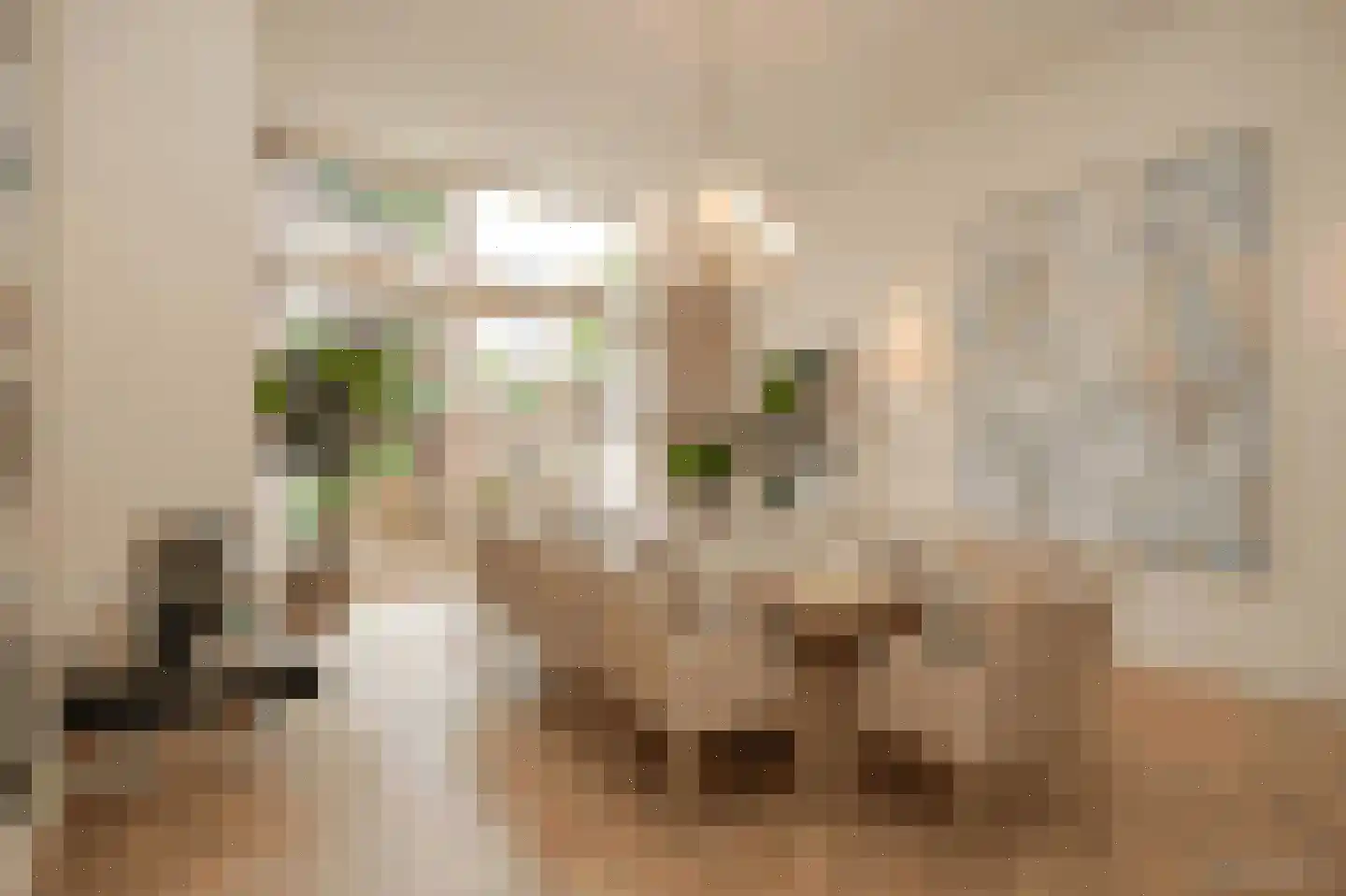 Nieuwegracht 8 Utrecht thumbnail 9