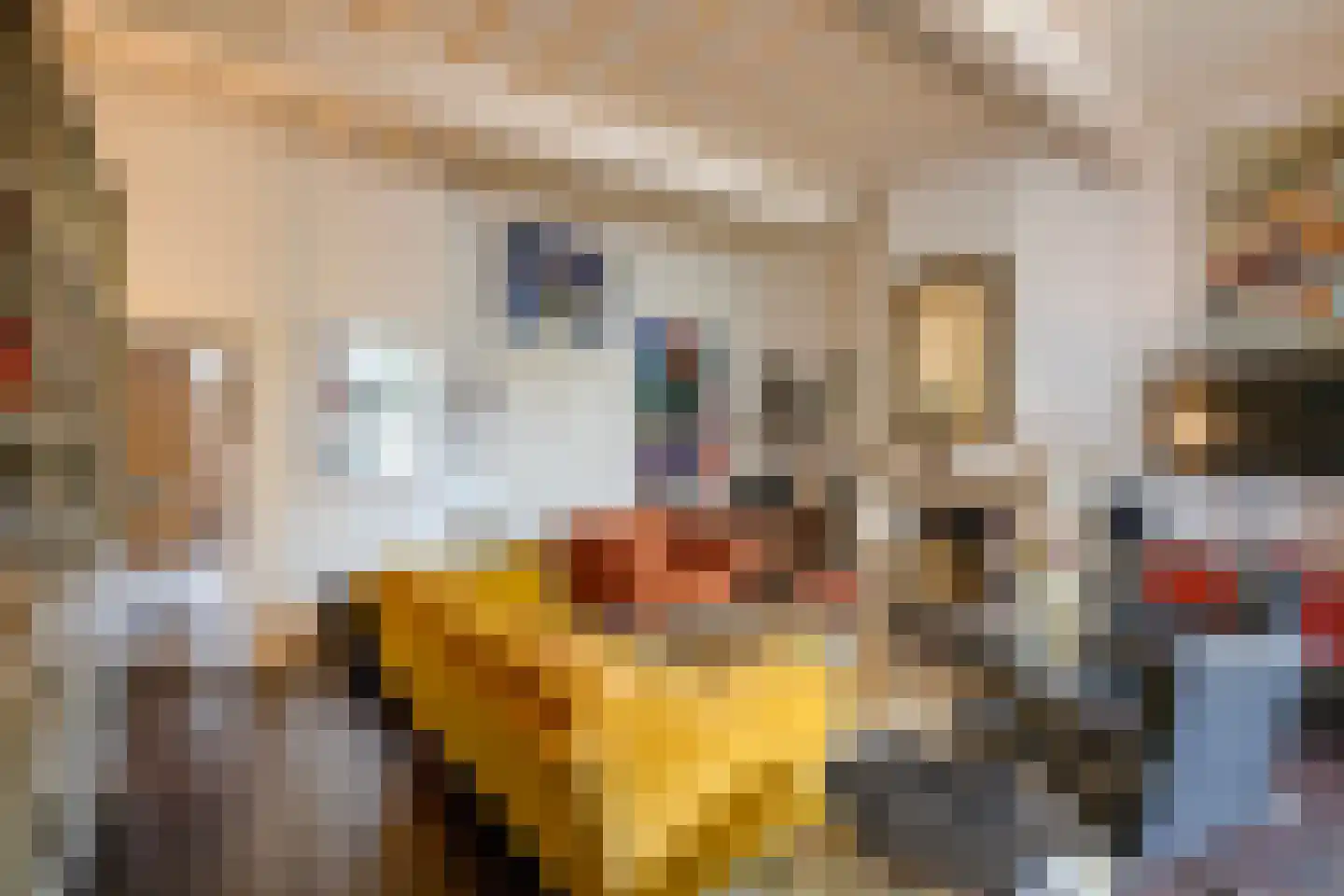 Nieuwegracht 88 Utrecht thumbnail 17