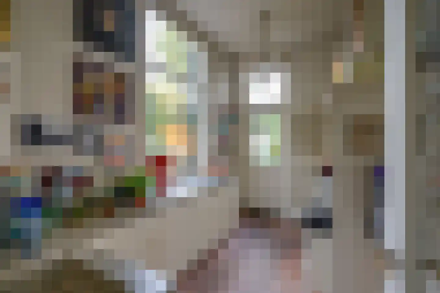 Nieuwegracht 88 Utrecht thumbnail 20