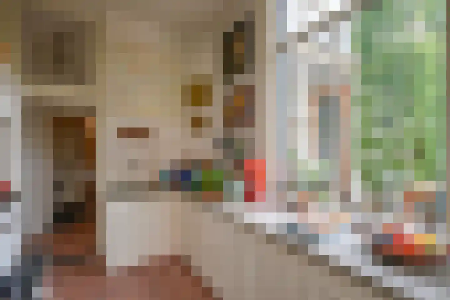 Nieuwegracht 88 Utrecht thumbnail 21
