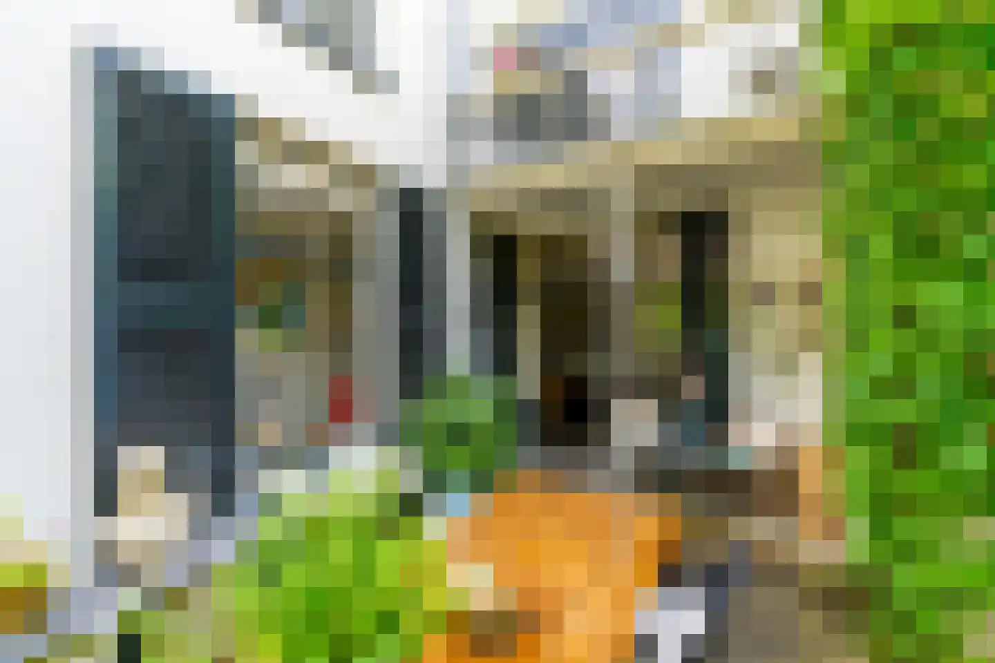 Nieuwegracht 88 Utrecht thumbnail 26