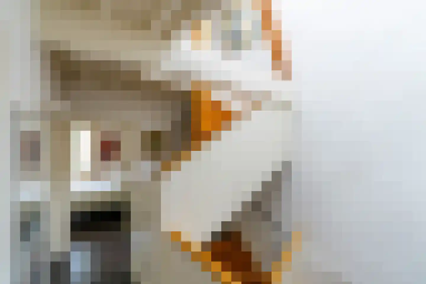 Nieuwegracht 88 Utrecht thumbnail 42