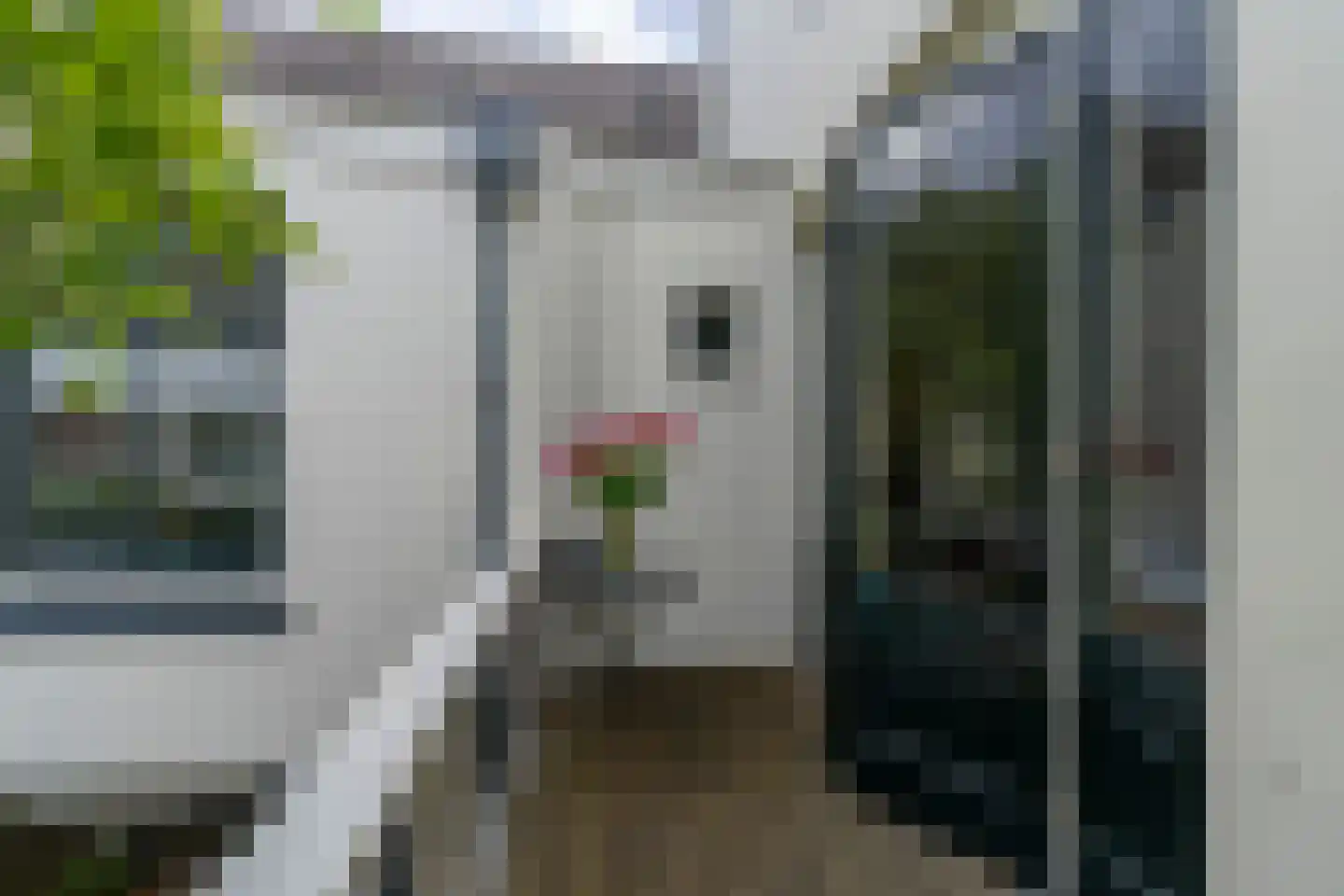 Nieuwegracht 88 Utrecht thumbnail 49